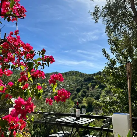 Casa Golondrinas Holiday home